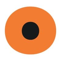 Oystercatchers logo