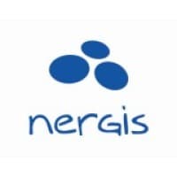 Nergis Business Consulting logo