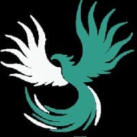 Risr Marketing & Growth Solutions logo
