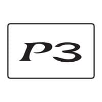 P3 Computer Services Limited logo