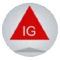 Indinese Global logo