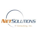 NetSolutions IT Consulting logo