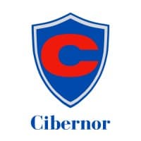 CIBERNOR CONSULTING S.L logo