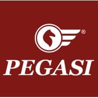 Pegasi logo