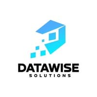 Datawise Solutions logo