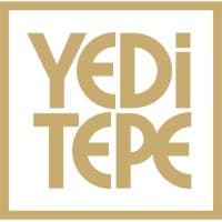 Praxity Yeditepe BaÄŸÄ±msÄ±z Denetim logo