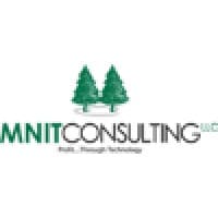MNIT Consulting logo