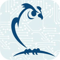 Owl IT Consulting logo