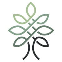 Loomis Financial Consulting logo