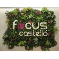 Focus CastellÃ³ logo