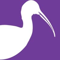 The Ibis Network logo