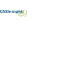 GSSInsight logo