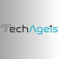 Techageis Infosolutions Private Limited logo