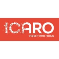 ICARO CONSULTING LIMITED logo