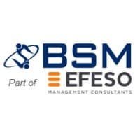 BSM Lean Consultants logo