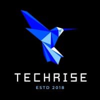 Techrise logo