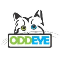OddEye logo