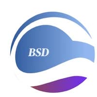 BSD Business Consulting logo