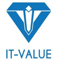 IT-VALUE logo