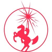 STURM und DRANG logo