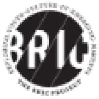 The BRIC Project logo