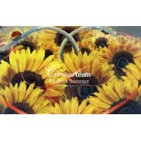 Creamteam Branding & Advertising Design Studio logo