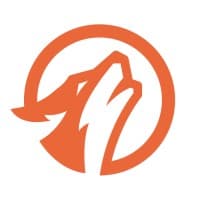 Viral Wolf logo
