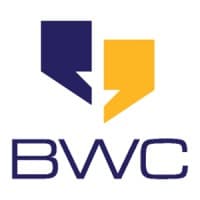 BIG WATER CONSULTING logo