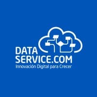 Data Service logo