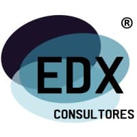 EDX Consultores logo