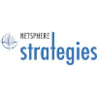 NetSphere Strategies logo