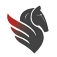 Strategies Migration Services South Africa logo