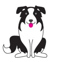 Barking Mad Marketing logo