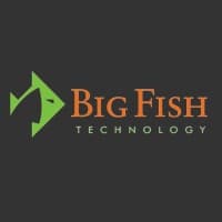 Big Fish Technology logo