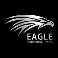 Eagle Consulting logo