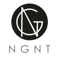 NGNT Consultancy logo