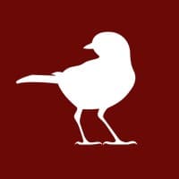 Blackbird logo