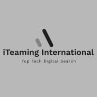 iTeaming International logo