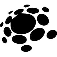 SIAX Computing Solutions logo