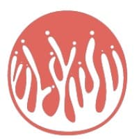 Corall Consultoria logo