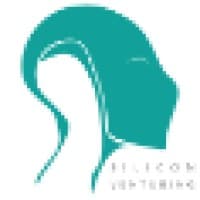 Silicon Venturing logo