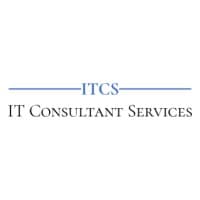 IT CONSULTANT SERVICES logo