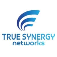 True Synergy logo
