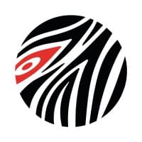 Zebroid Marketing logo