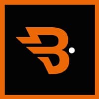 Brand for Life logo
