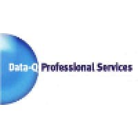 Data-Q Professional Services logo