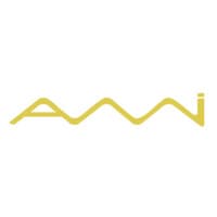 AMI Business Ventures logo