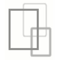 First In Focus Research logo