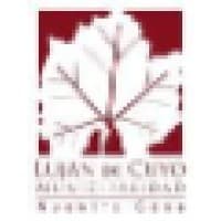 Municipalidadad de LujÃ¡n de Cuyo logo