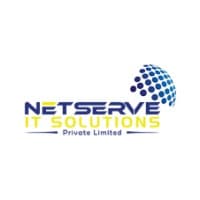 NetServe IT Solutions Pvt logo